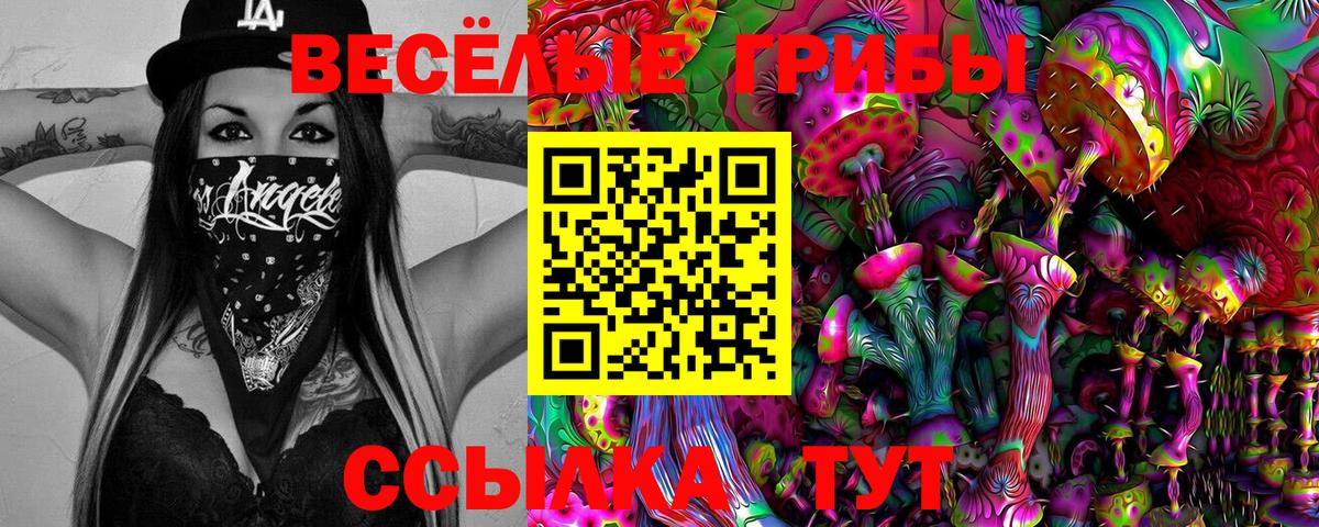 Галлюциногенные грибы прущие грибы Вятские Поляны