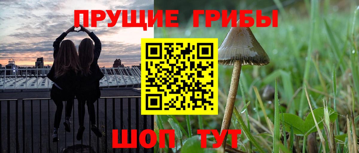 Вятские Поляны  Галлюциногенные грибы Psilocybe  Вход с VPN 